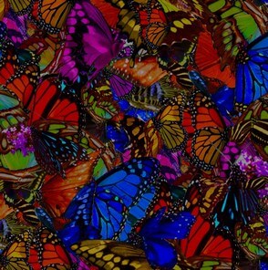 Lauren Lein Butterfly Print EndangerUS